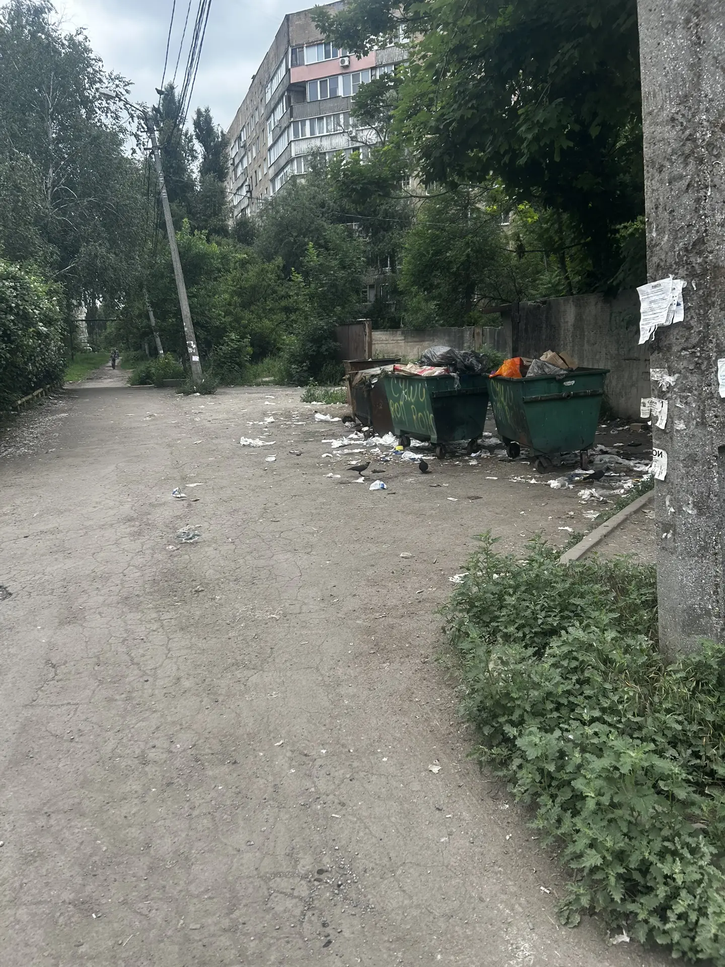 Прошу Администрацию Кировского района обратить внимание, принять меры‼️ по поводу образования свалки