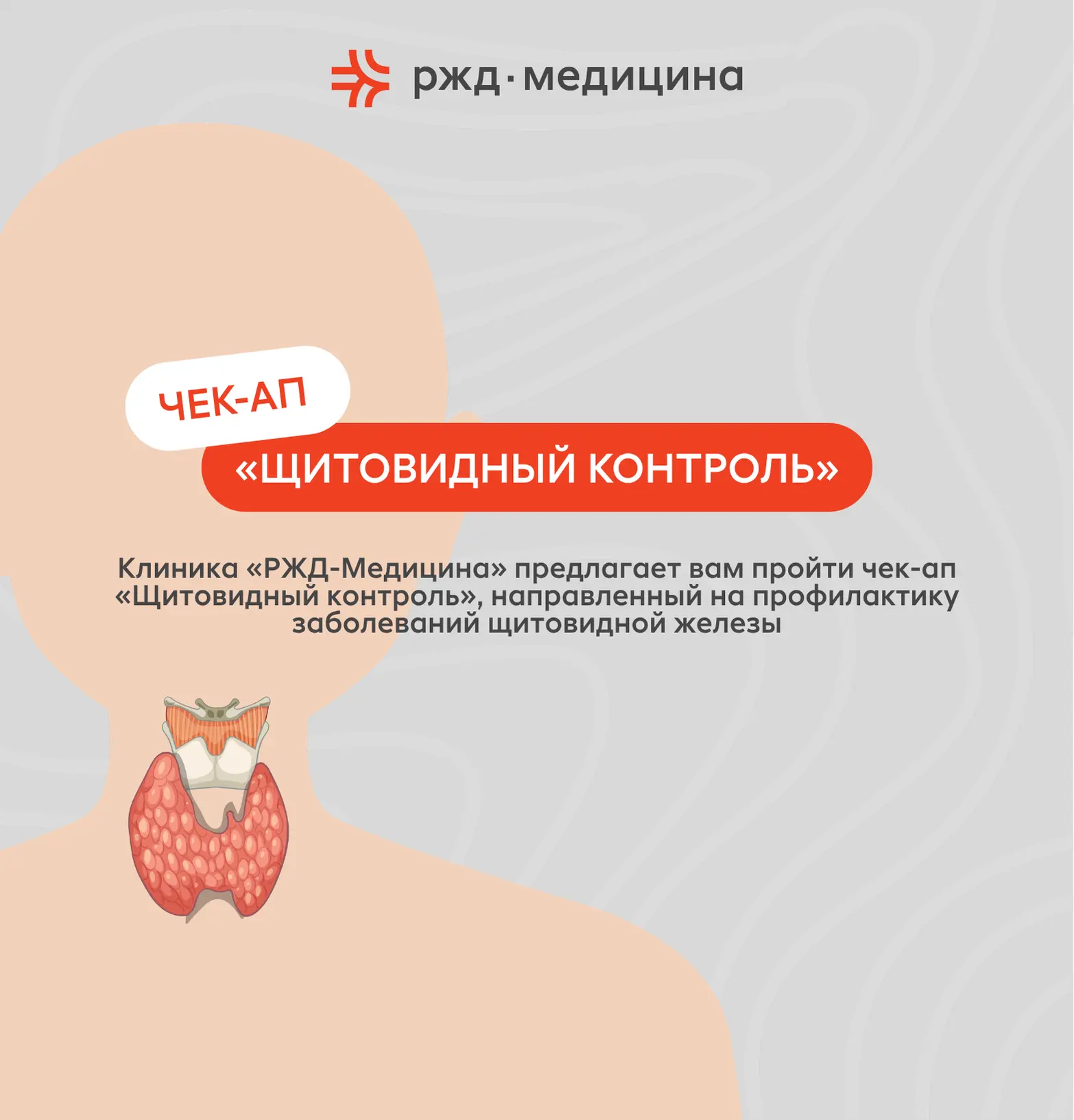 Усталость, апатия, лишний вес? Проверьте щитовидную железу! 🦋

Щитовидная железа — крошечный орган,