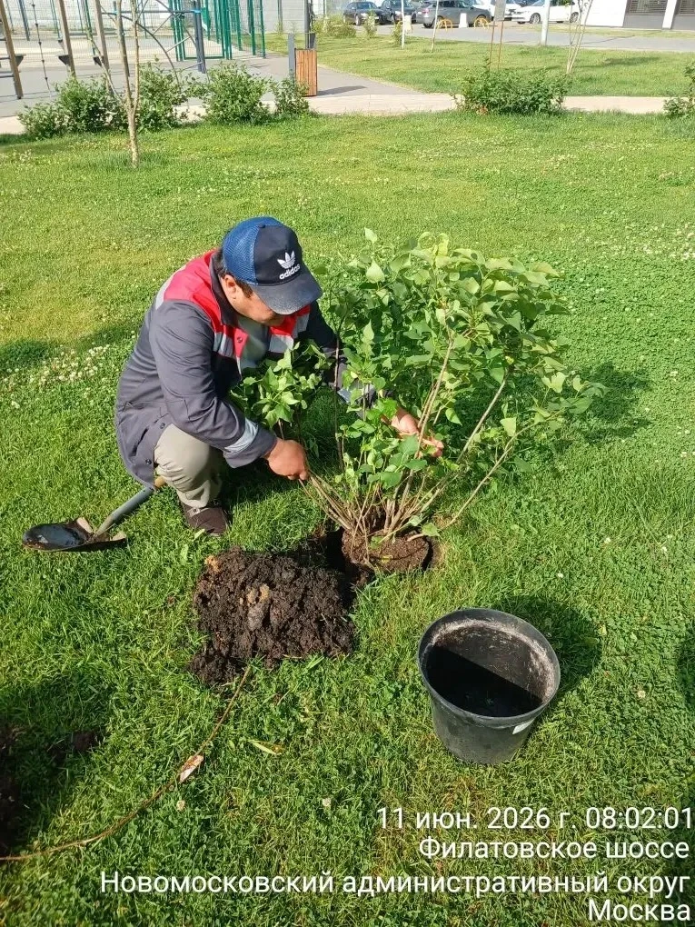 Эта неделя богата на работы по уходу за зелёными насаждениями.
Рассказываем, что уже сделали и какие