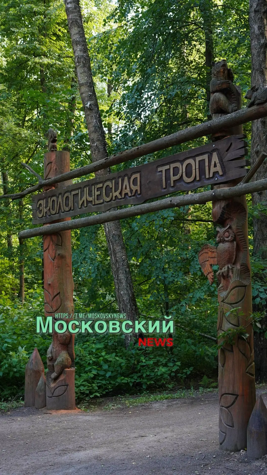 Продолжая тему экотропы в третьем микрорайоне города Московского, хочу рассказать о необычных домика