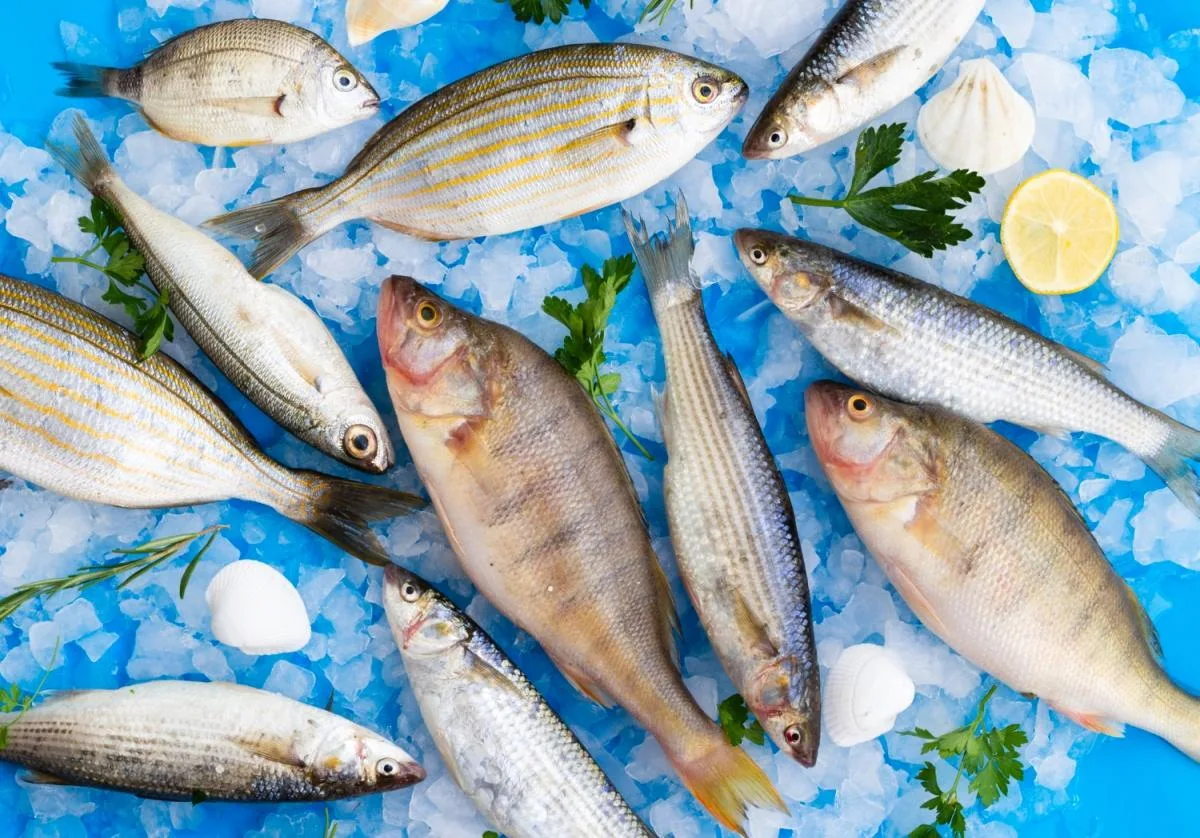 🎣 Викторина о пользе рыбы

Спасибо всем, кто принял участие в нашем опросе и голосовал (https://max