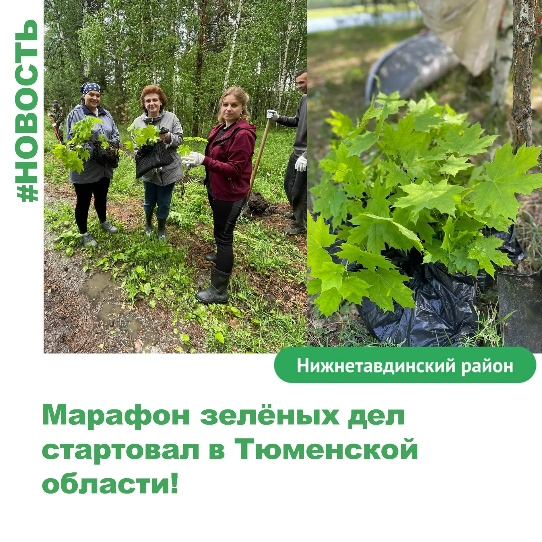 Марафон зелёных дел стартовал в Тюменской области!

5 июня Тюменское региональное отделение «Экосист
