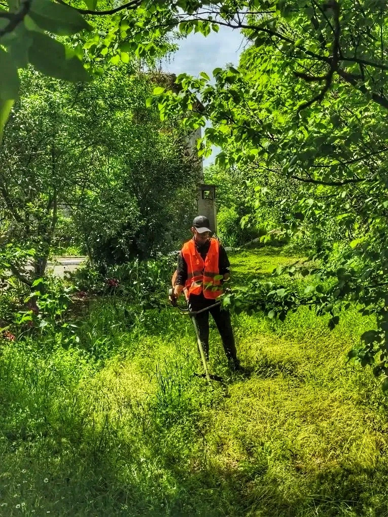 ☘️ Продолжаются работы по покосу травы

📍Адрес проведения работ:
пгт. Верхний Рогачик
ул. Центральн