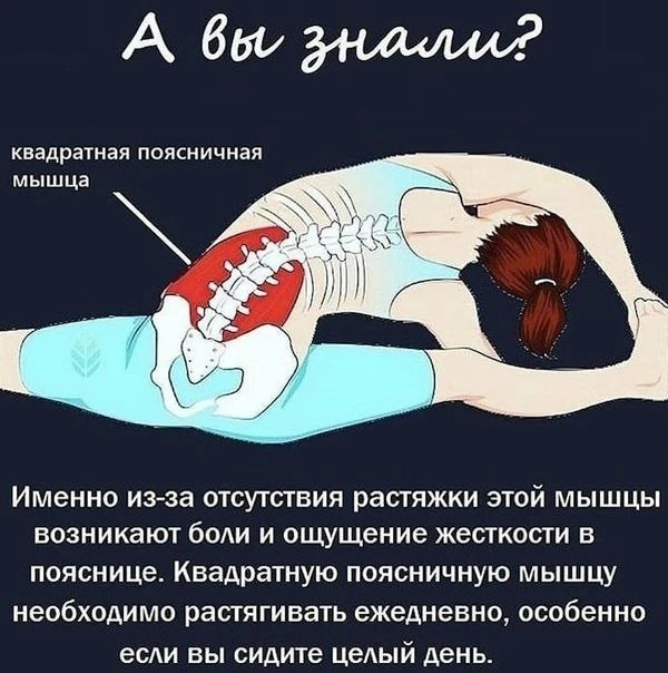 Растяжка-залог здоровья❤️