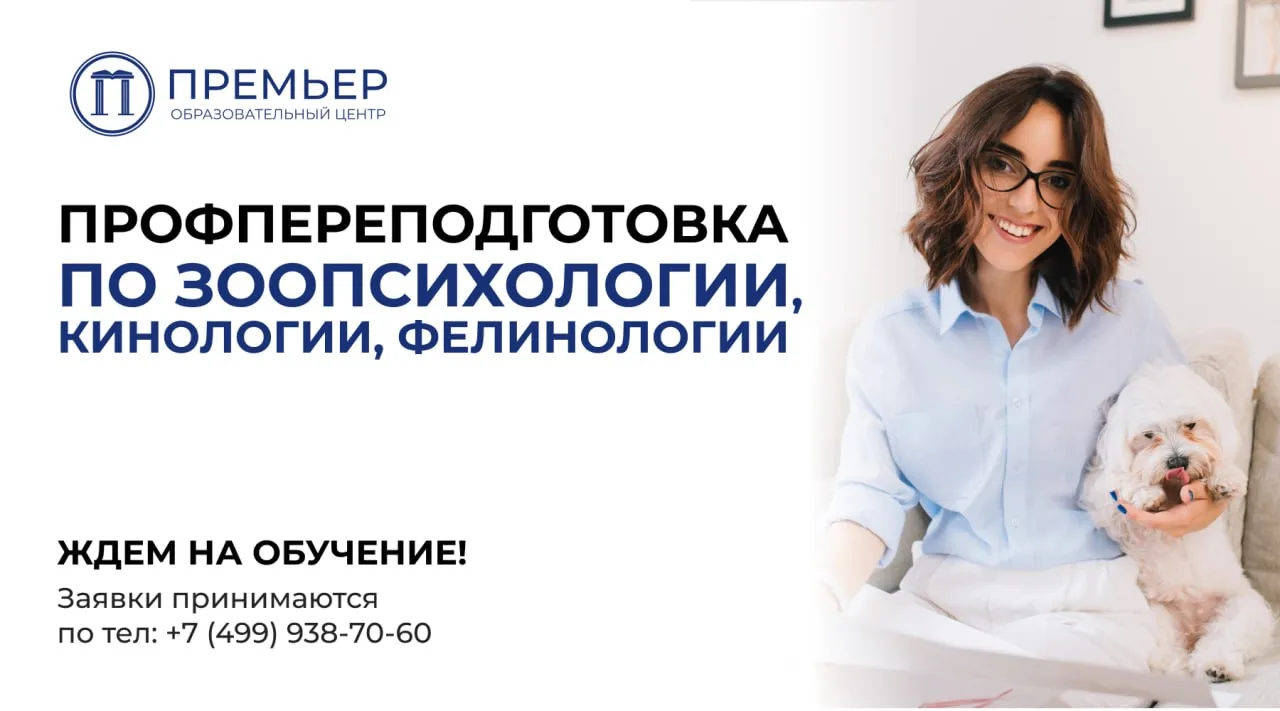 🐈 Вам нравится проводить время с животными и вы хотите лучше их понимать? Приглашаем на курсы по зо