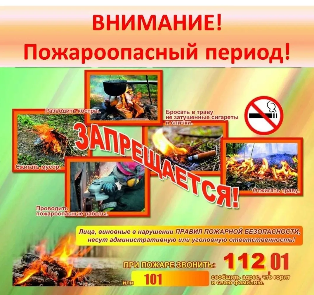 В лесах запрещается:
— разводить костры в хвойных молодняках, на гарях, на участках поврежденного ле