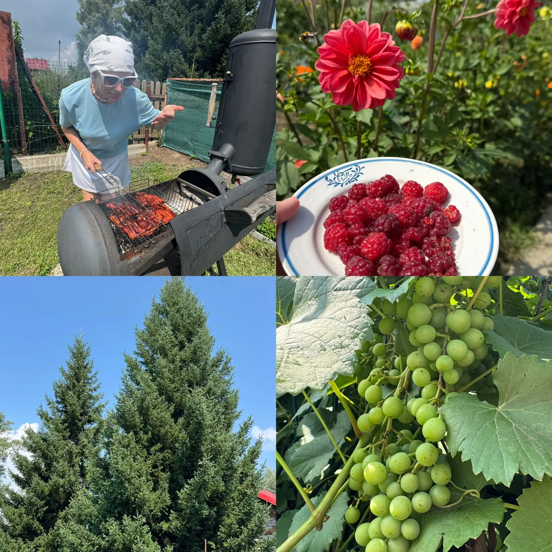 Я на дачу приехала днём
тут конечно хорошо, природа🌱🌸