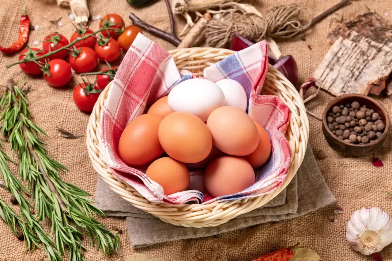 Дорогие друзья, ценители вкуса и гости "Медвежьей горы"!

Заказ по WhatsApp, Telegram, звонок, Max, 