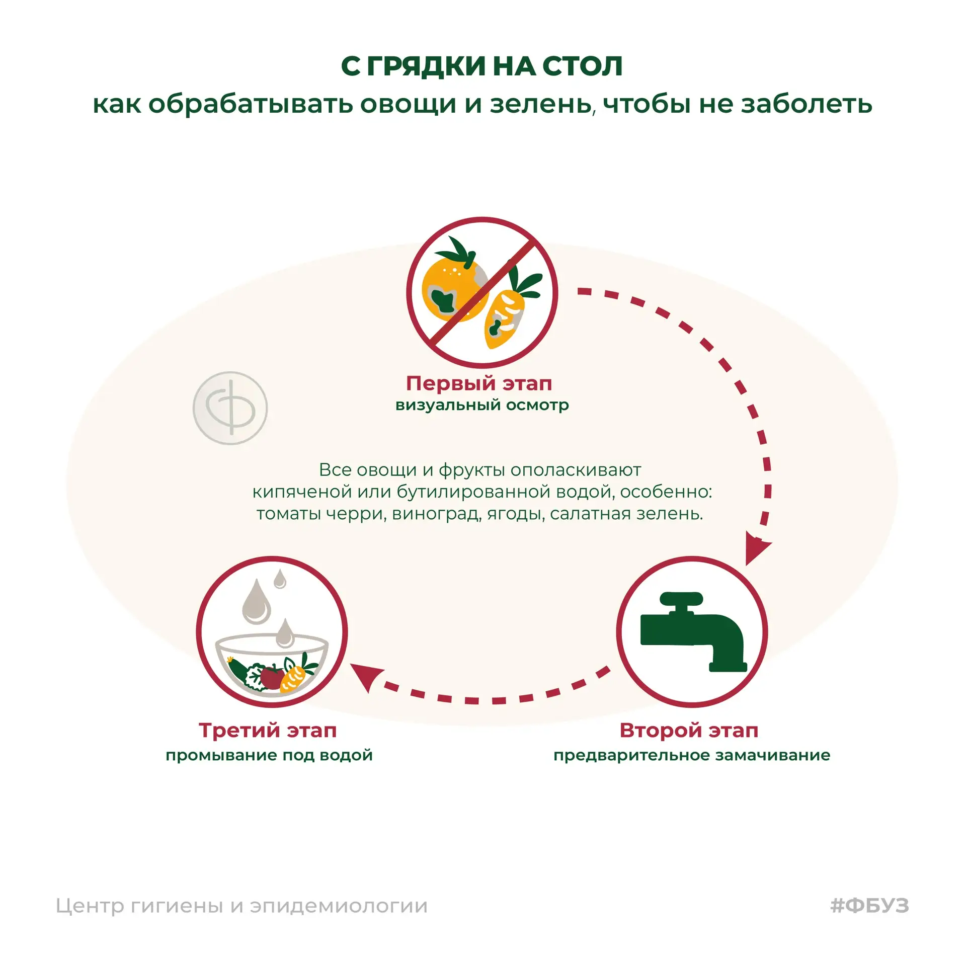 С грядки на стол: как правильно обрабатывать овощи и зелень, чтобы не заболеть 🥬🥕🍅

Свежие овощи,