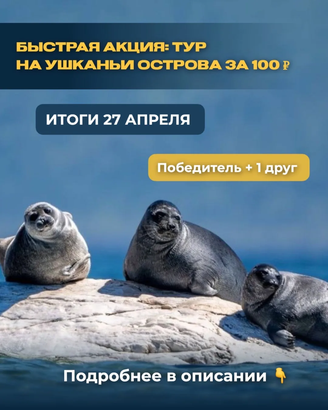 РОЗЫГРЫШ СОСТОИТСЯ СЕГОДНЯ В 21:00🔥

УСПЕЙТЕ ПРИНЯТЬ УЧАСТИЕ ✨

🎁 Разыгрываем тур на Ушканьи остро