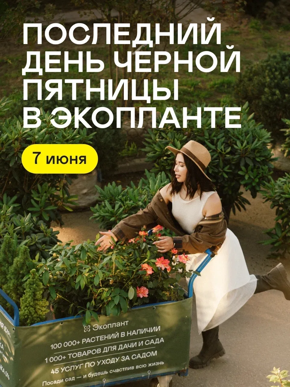 Друзья, отложите все дела, чтобы успеть на 
Черную Пятницу! 
Сегодня завершается распродажа со скидк
