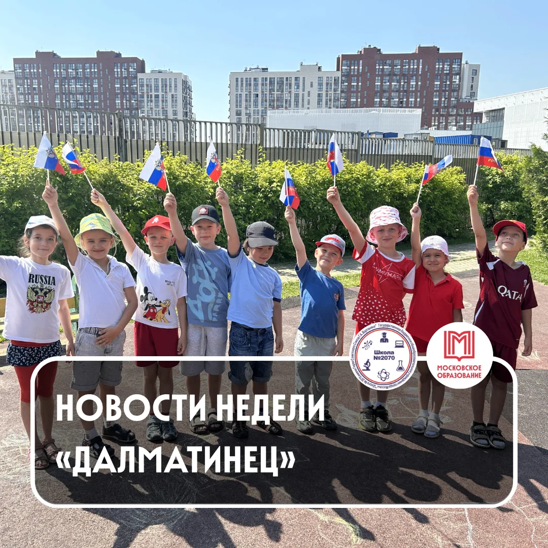 🐶🐶🐶 НОВОСТИНЦЫ ОТ «ДАЛМАТИНЦА»

🌻 Наступило лето, занятия окончены, но без дела дошколята образо
