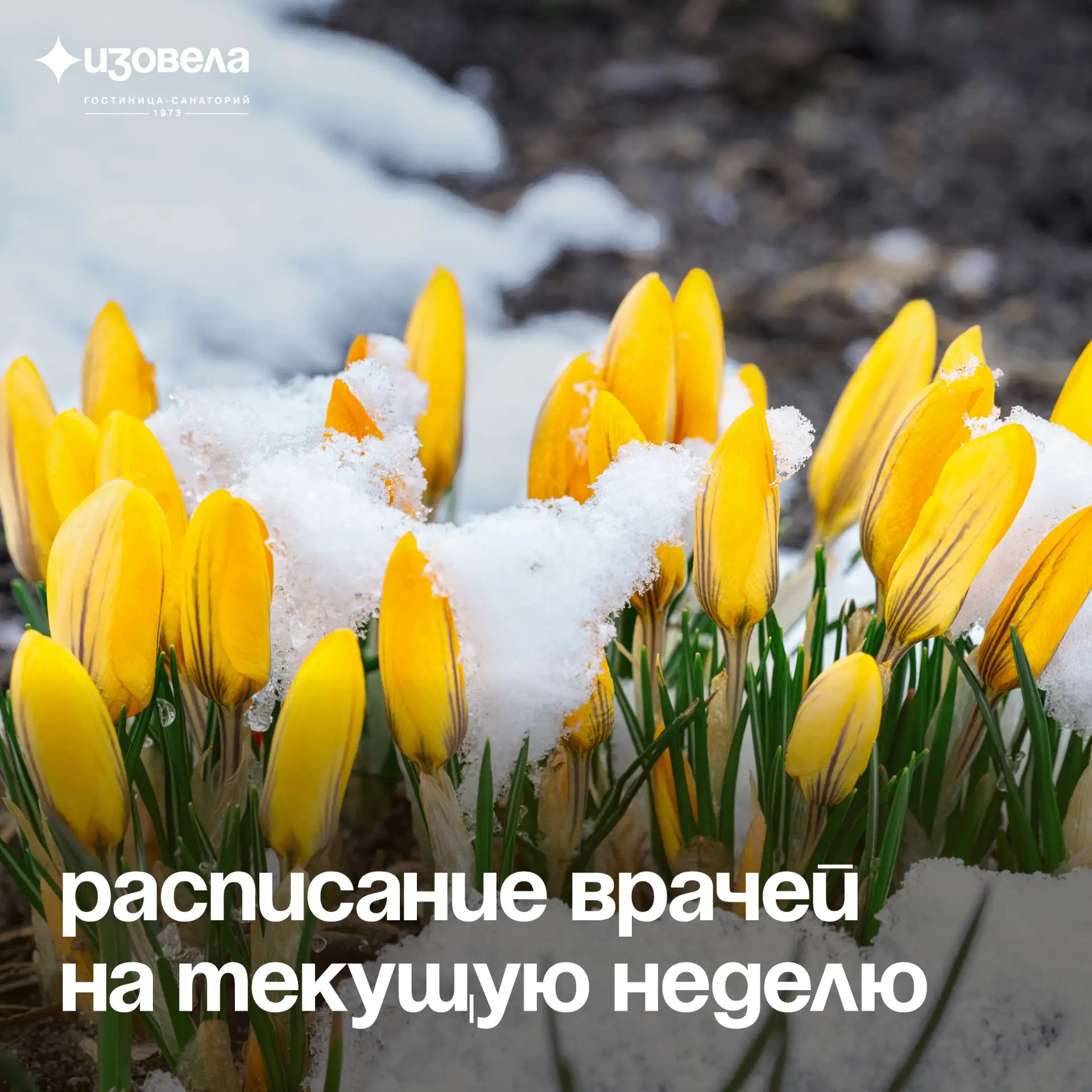 ✨ Открыта запись на приём к врачам медицинского центра и приглашённым специалистам на эту неделю ✨

