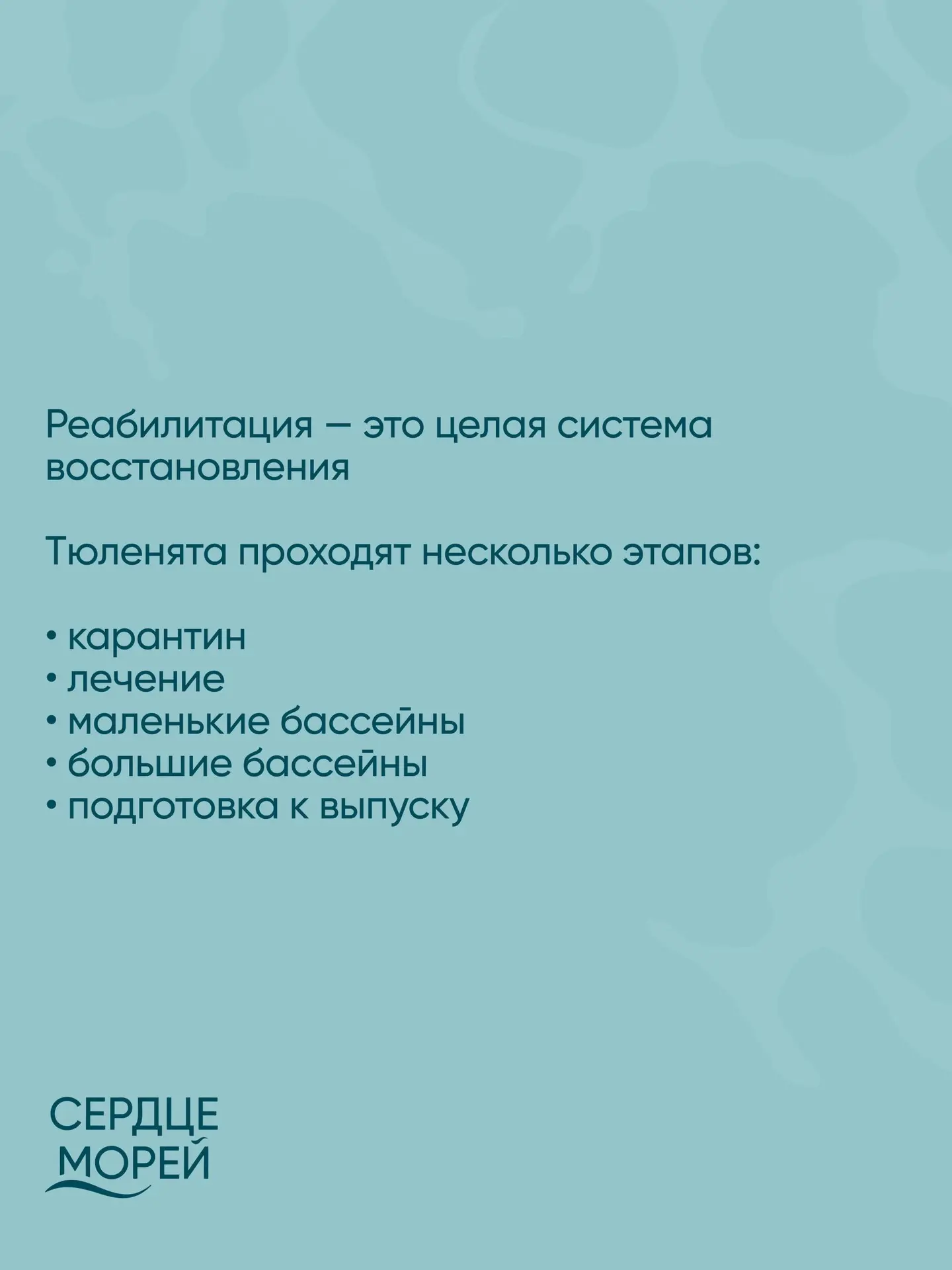 Мы часто показываем вам наших подопечных, но сегодня решили немного подробнее рассказать о том, как 