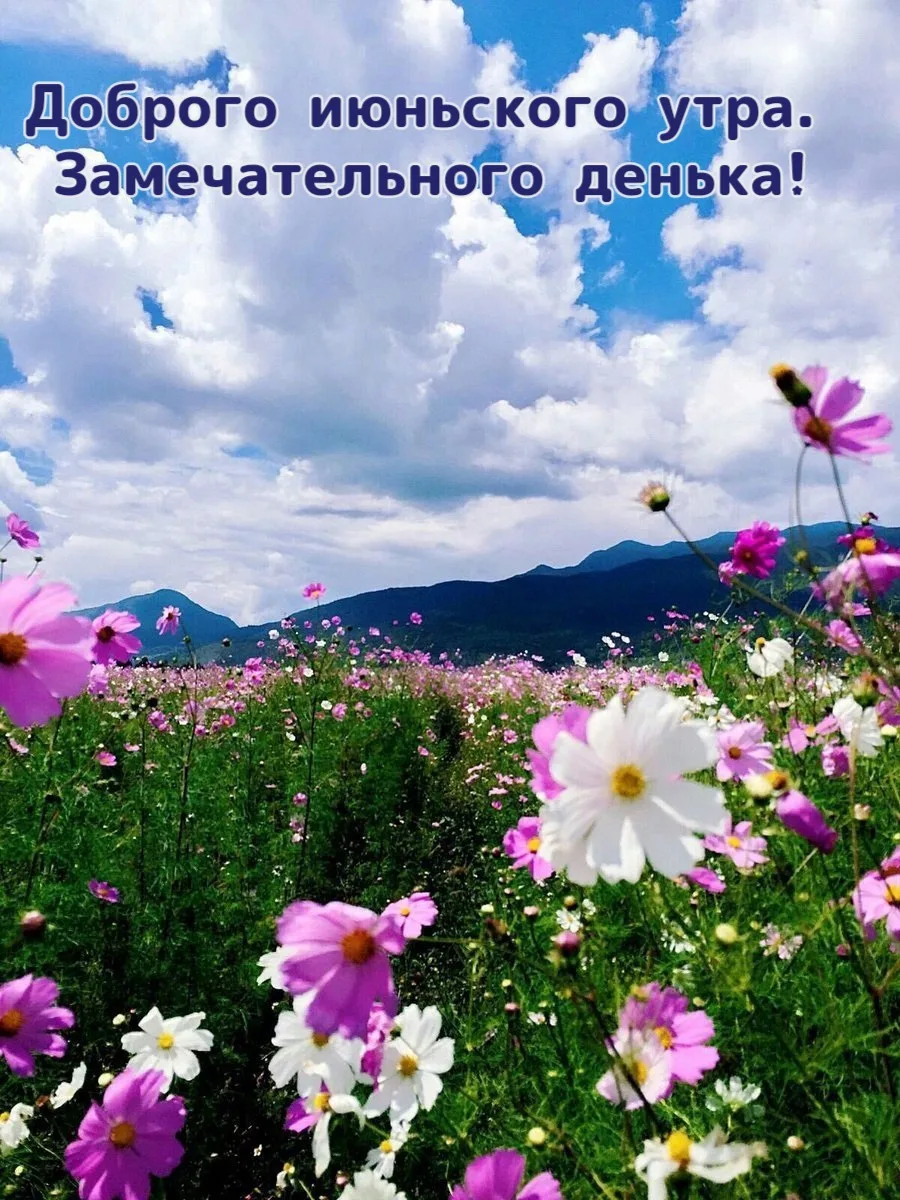 Список качественных каналов в МАКС | Смотреть ❤️