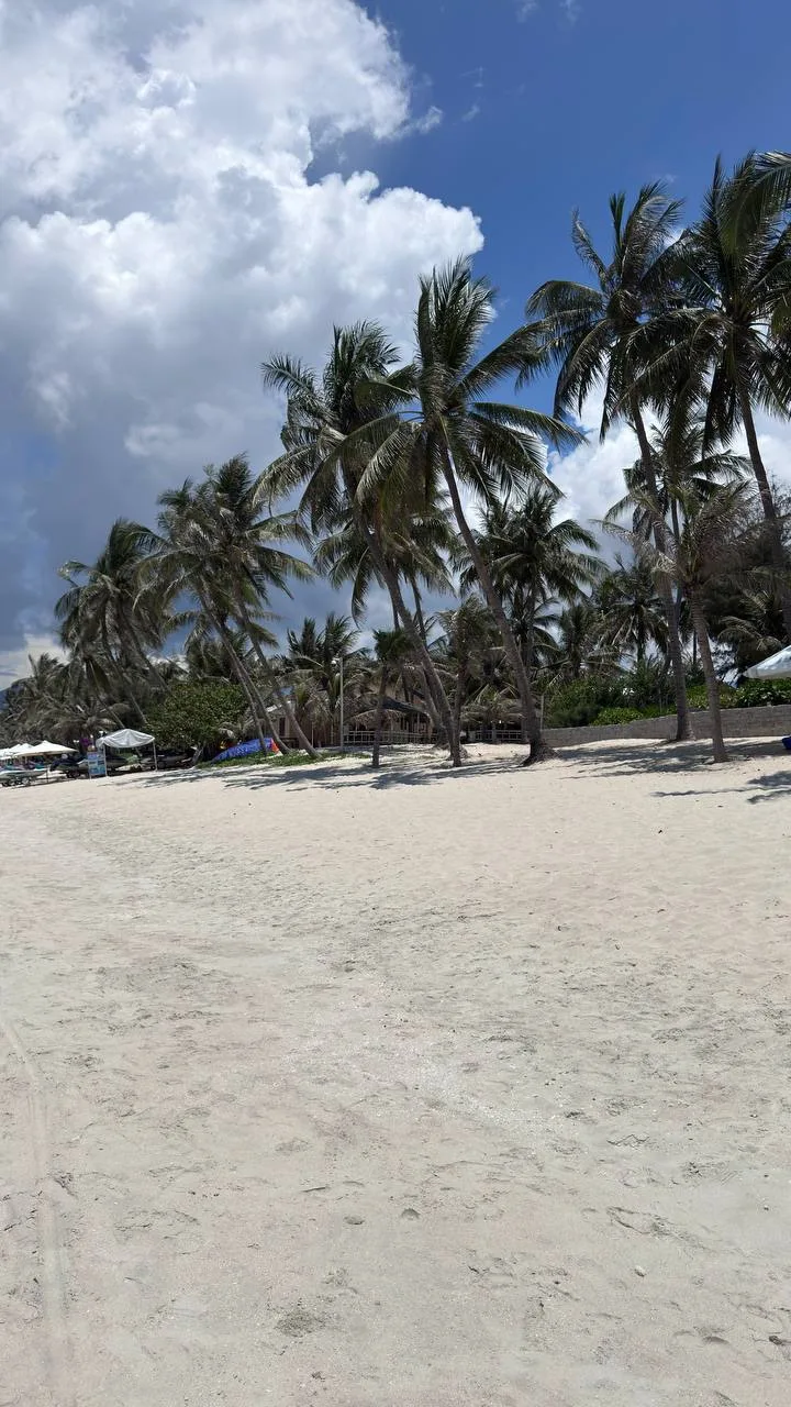 Три отеля в Doclet ( Вьетнам ) 🇻🇳

Красота невероятная 😍


На все включено или полном пансионе 
В