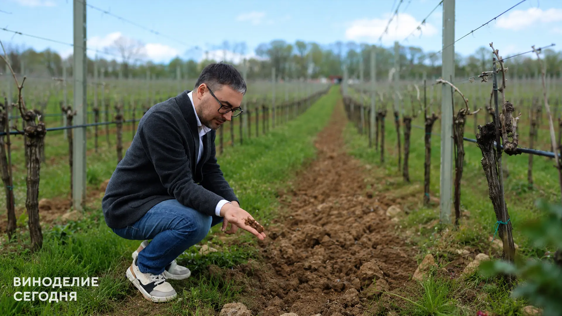 Виноделы Кубани адаптируются к аномальным дождям: опыт Gunko Winery

Нестабильная погода и затяжные 