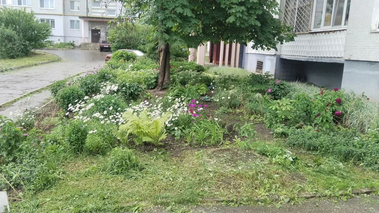 6.06.26 Плановый покос травы по адресу: ул. Железнодорожная, д.84