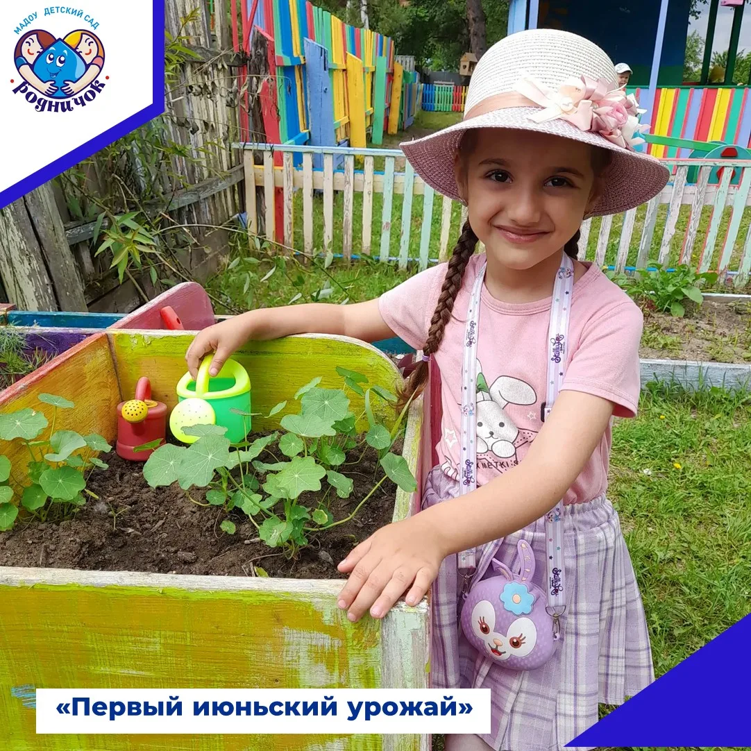Наш первый июньский урожай: дети средней группы пожинают плоды своего труда!

Лето для воспитанников