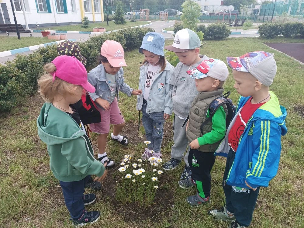 🏵️ДЕНЬ ПОЛЕВЫХ ЦВЕТОВ🌼

На лугу, в лесу и в поле
Все цветы растут на воле.
Колокольчик и ромашка,
