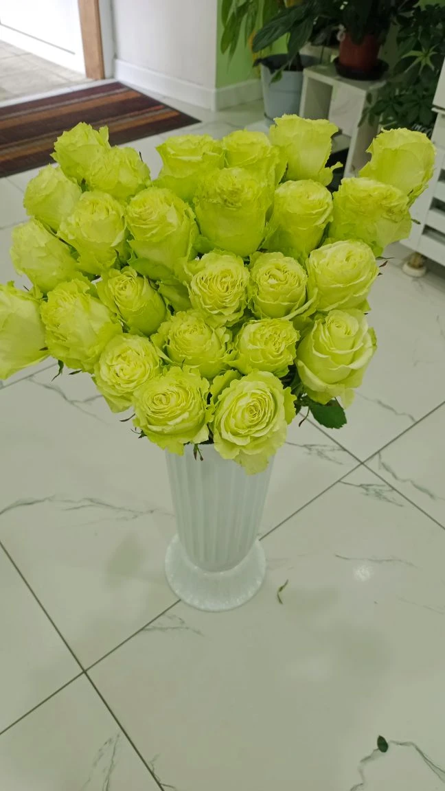 Зелёный лимонад 💚💚💚

250₽