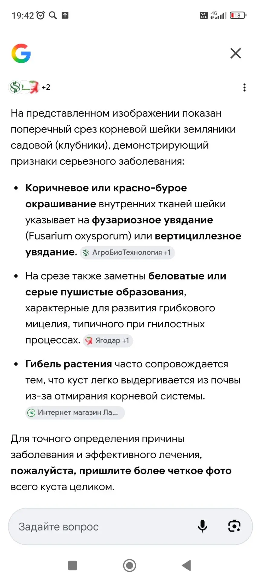 Здравствуйте, вот что говорит умная камера. Какие корни были? Листья? Для более точного "диагноза", 