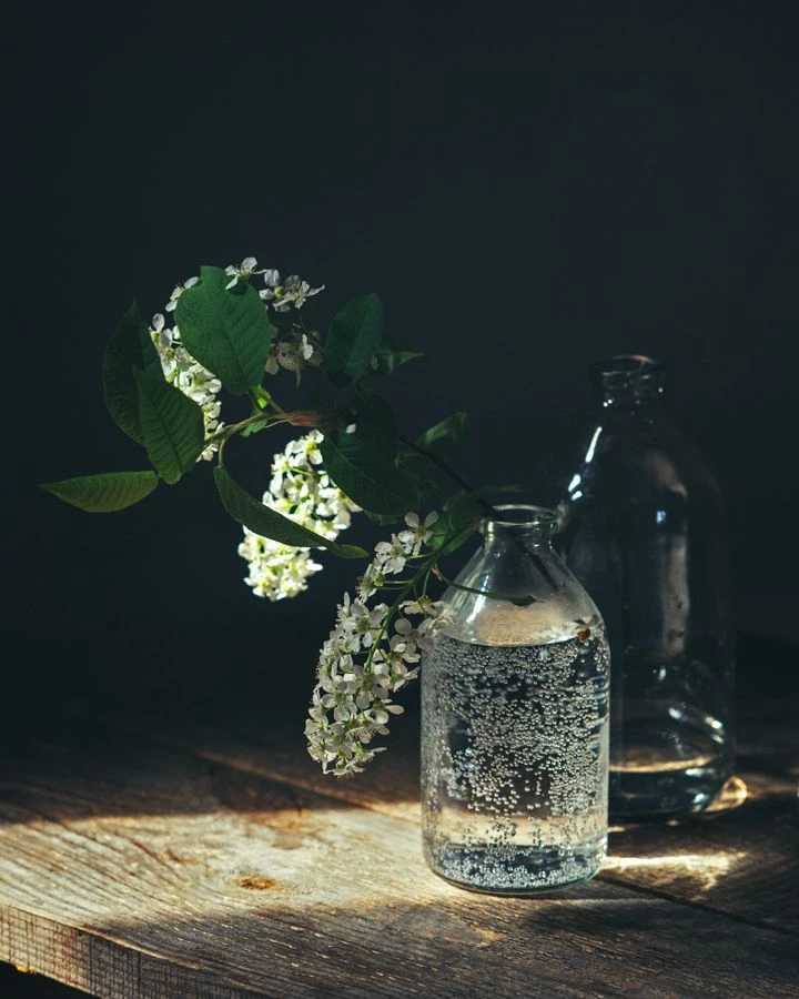 Фото Елены Хазиной 🖤