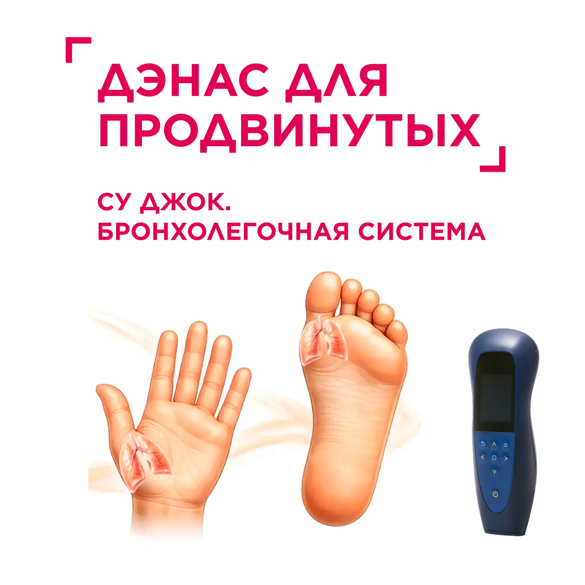 Рубрика: ДЭНАС для продвинутых
🫁 Су Джок. Бронхолегочная система
✋ СУ – кисть, 🦶 ДЖОК – стопа (пер