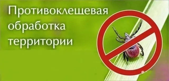 ВНИМАНИЕ!  

Уважаемые родители, сотрудники школ и  жители города Сосногорск!
В ближайшее время на т