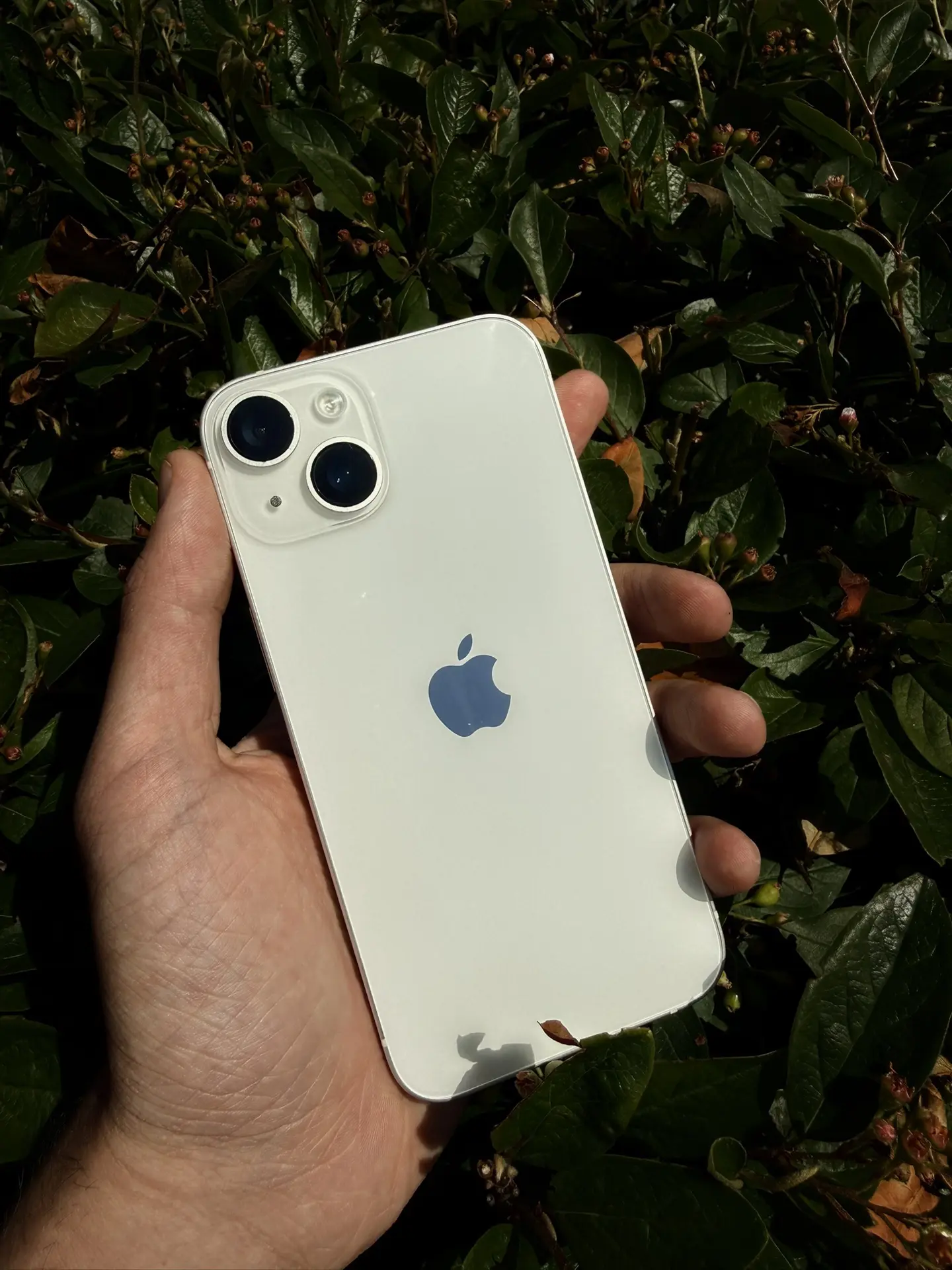 📞 iPhone 14

Память: 128Gb
Аккумулятор: 82%

25.990₽

*цена актуальна за наличный расчет

Чат с мен