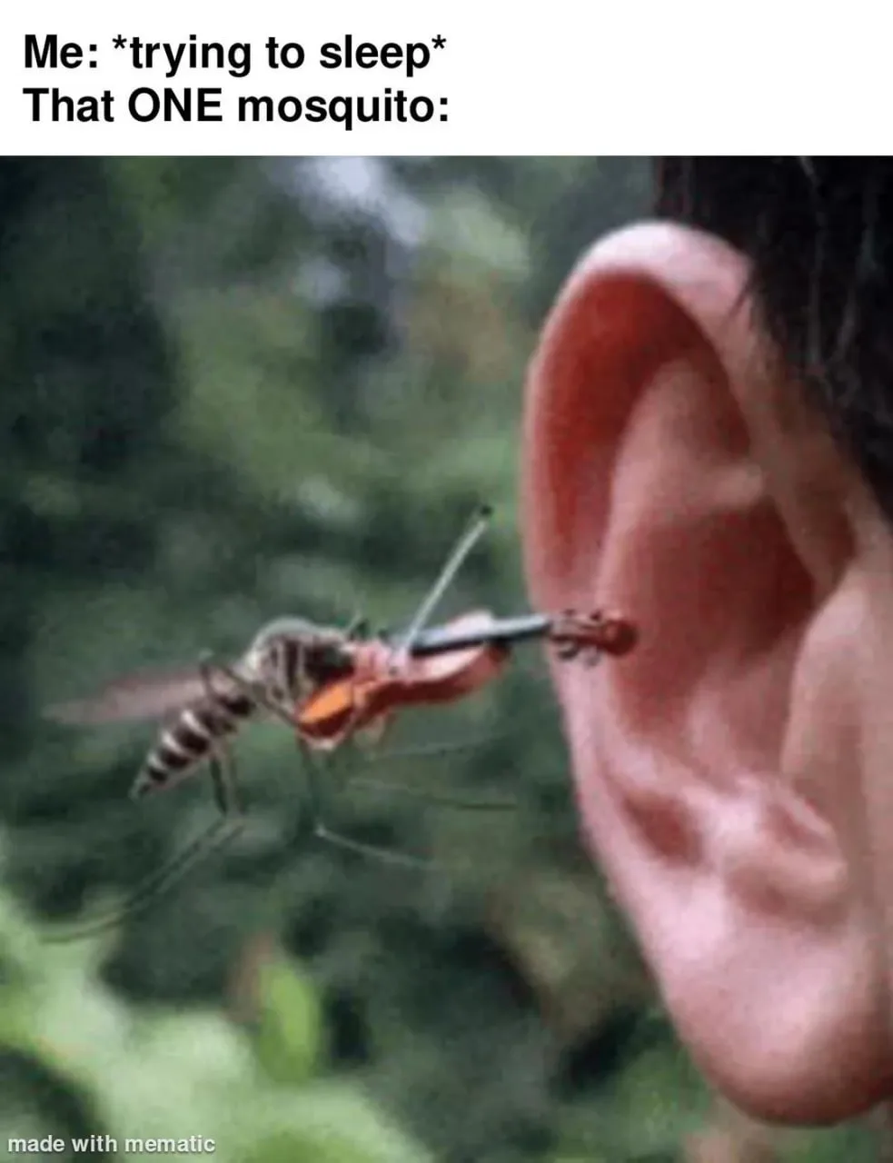 Me: *trying to sleep*
That ONE mosquito:

trying to sleep [traɪɪŋ tə sliːp] - пытаюсь уснуть;

Я: *п
