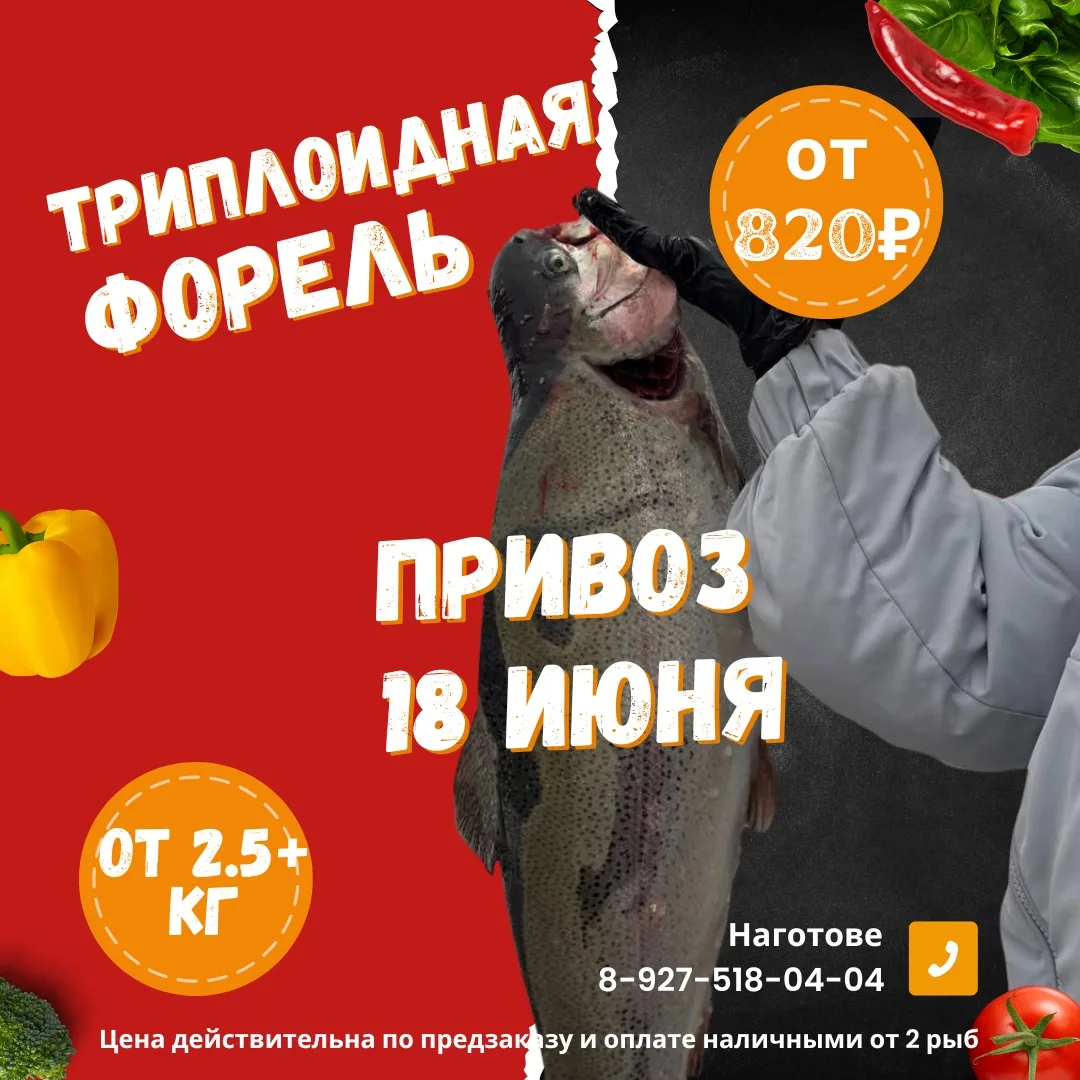 🔥🔥🔥ОГОНЬ НОВОСТЬ🔥

Пока я находилась на форелевом хозяйстве, я выпросила для нас небольшую скидк