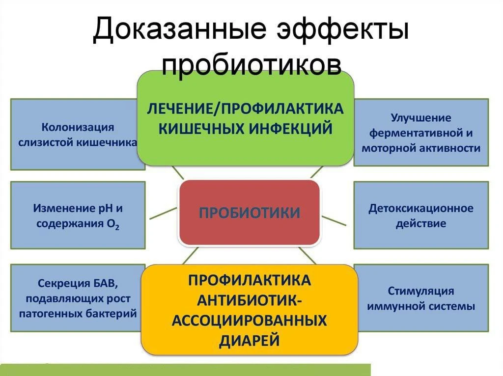 🥛 ДЕЙСТВИЕ ПРОБИОТИКОВ

♻️ Защитное

♻️ Дезинтоксикационное

♻️ Стимулируют функции иммунной систем