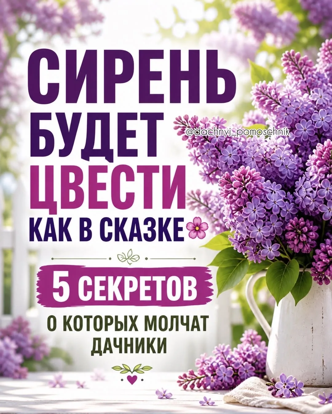 Пользуйтесь и делитесь с соседом♥️

Режим: ДАЧА ♥️