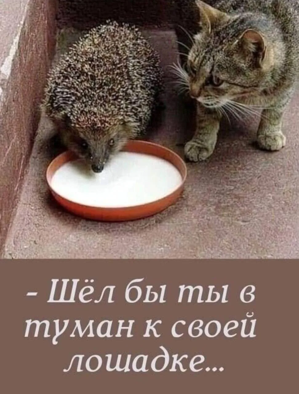 Место Встречи