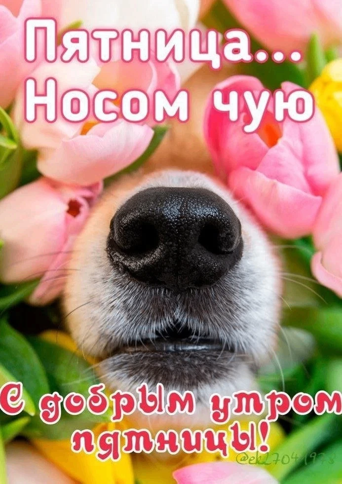 🥰Ставьте реакции и делитесь открыткой с близкими ❤️

💌Лучшие Открытки в MAX! 👉 Подписаться