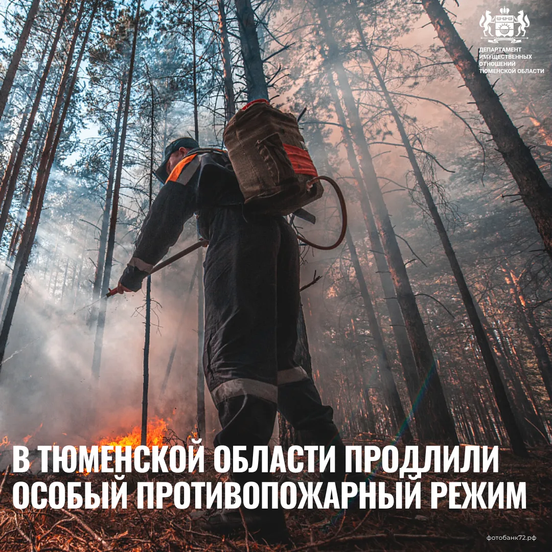 🔥 В Тюменской области особый противопожарный режим продлен до 28 июня. Об этом накануне сообщил губ