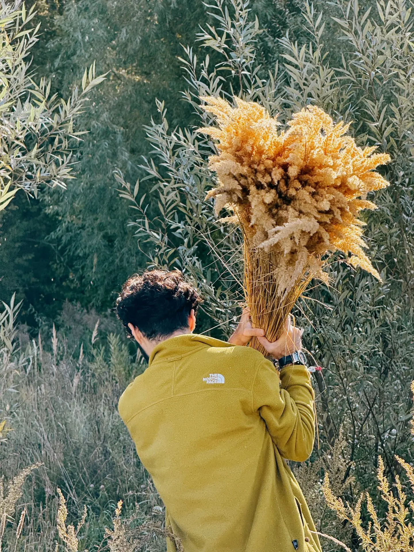 Первая половина июня — одна из самых интересных для флориста 🌾

В это время природа буквально начин