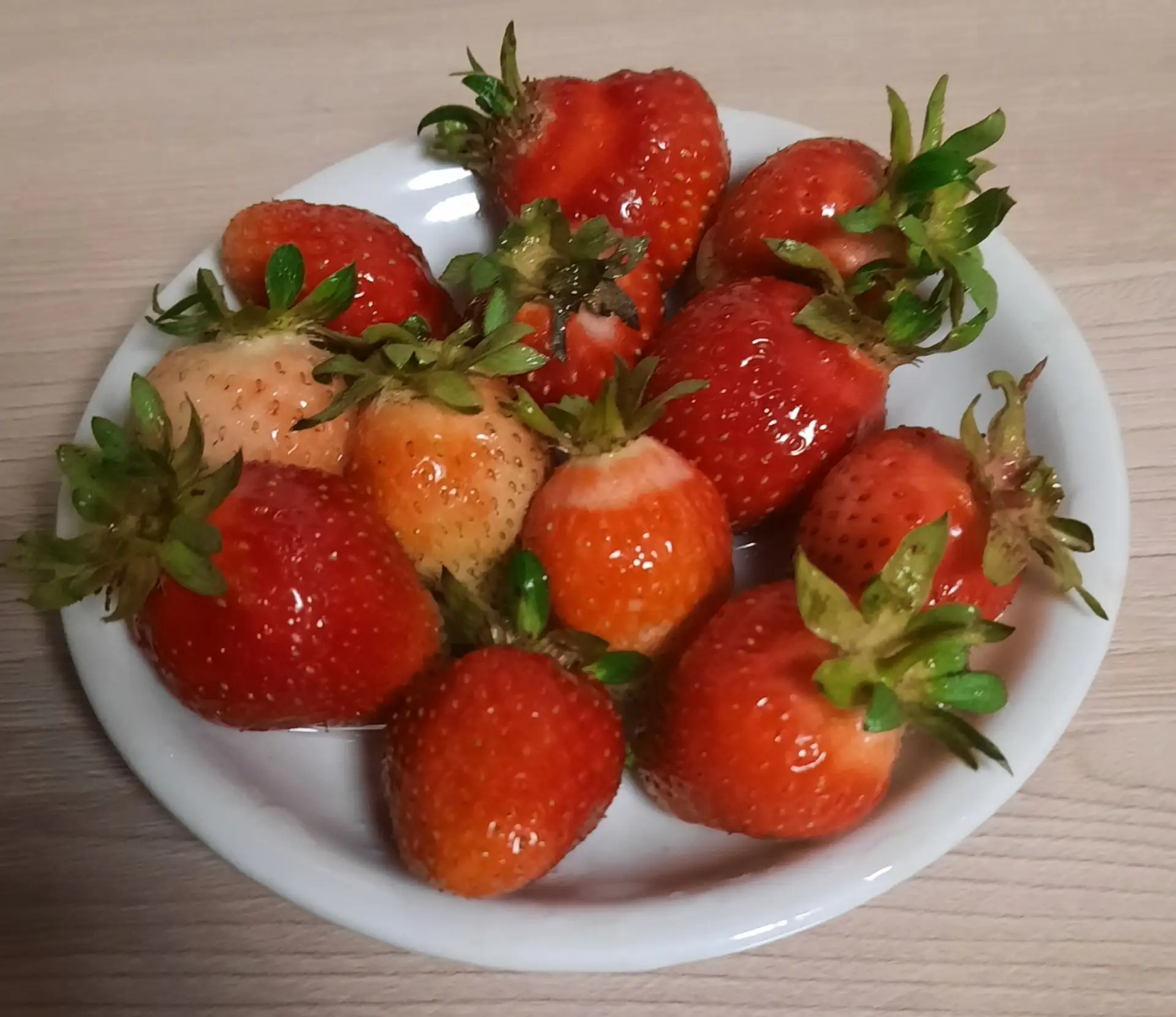 Пешәр-пешмәстә өзелә. Карачкы куясы бар. Бар булган җан иясе җиләккә кызыга😄