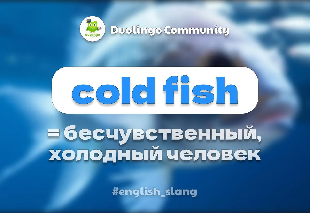 🐟 Человек, одним словом, сухарь...

Или cold fish — так по-английски сказали бы про человека, котор