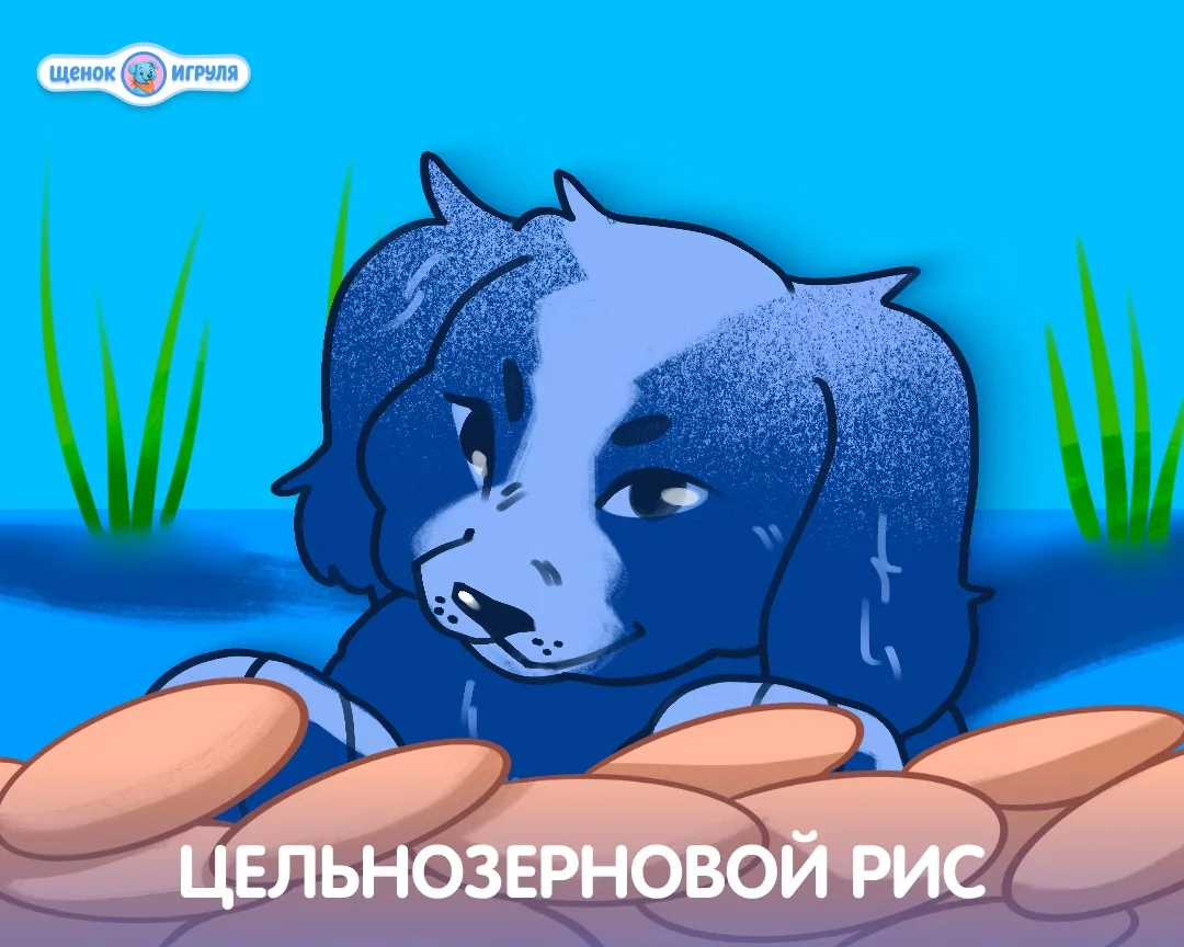 Цельнозерновой рис ☘️

В основе наших углеводов. 

В отличие от очищенного шлифованного риса, це