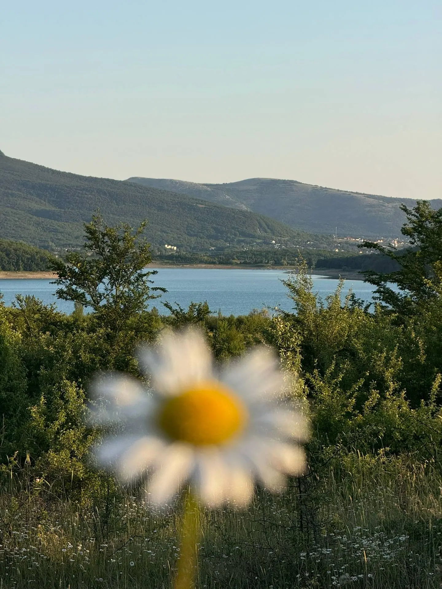 🌞 Сегодня в Севастополе солнечно

Утром о+16 до +22С, днём до +23С, вечером — до +18С. Порывы ветра