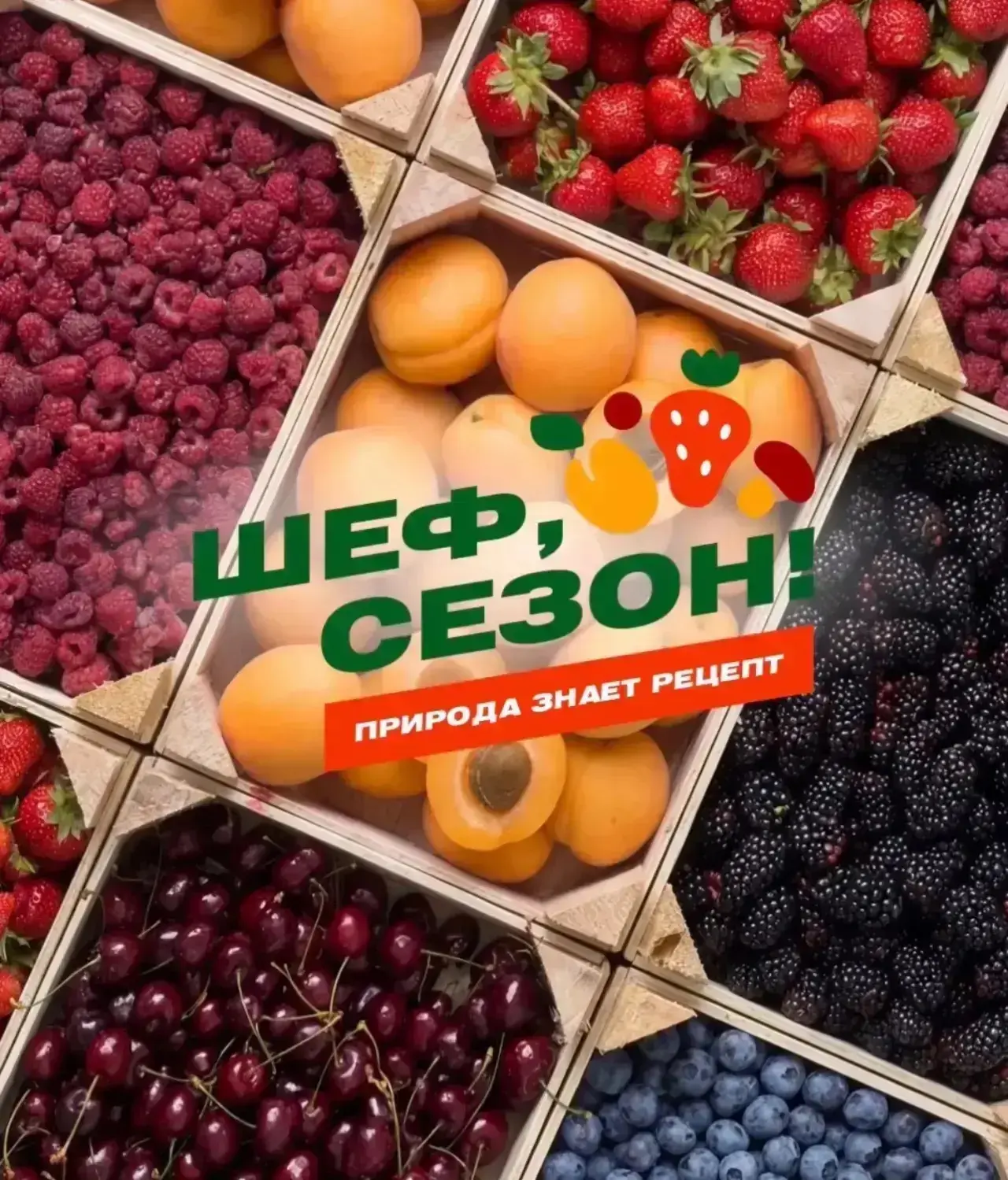 ШЕФ, СЕЗОН! приветствует вас в самой вкусной и полезной группе! 🍓🍒

Кто-то знает нас как «Шеф, кра