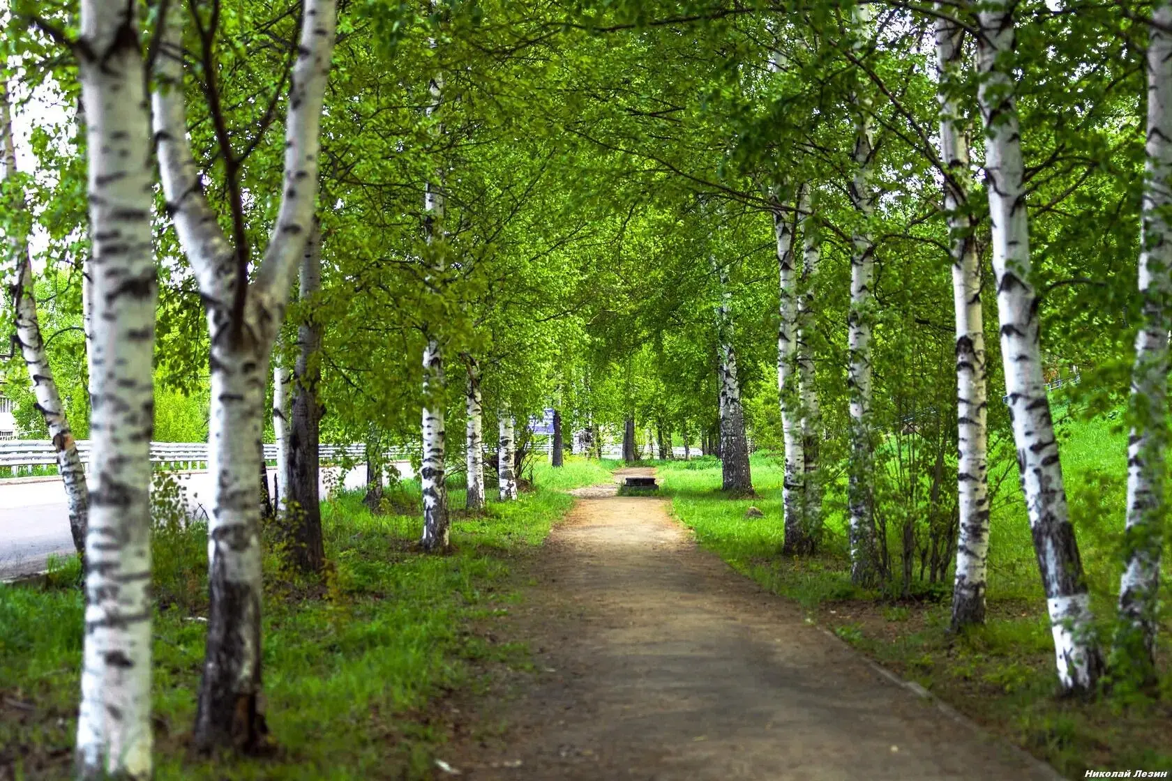 Яркое лето в Усть-Илимске. Улица Наймушина 🌿
 
(Фото: Николай Лезин)