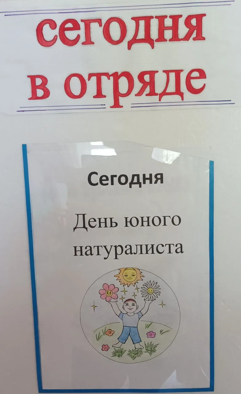 🌿🌳 День юного натуралиста в нашем лагере! 🦊🦋

Сегодня в пришкольном лагере был настоящий праздни