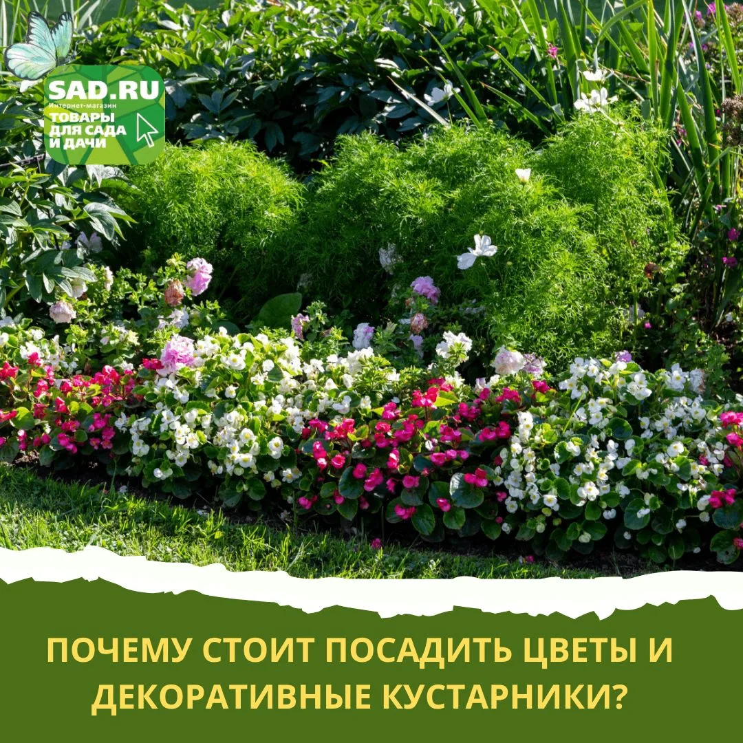 Почему стоит посадить цветы и декоративные кустарники?
 
🌺Научно доказано: созерцание зелени и цвет