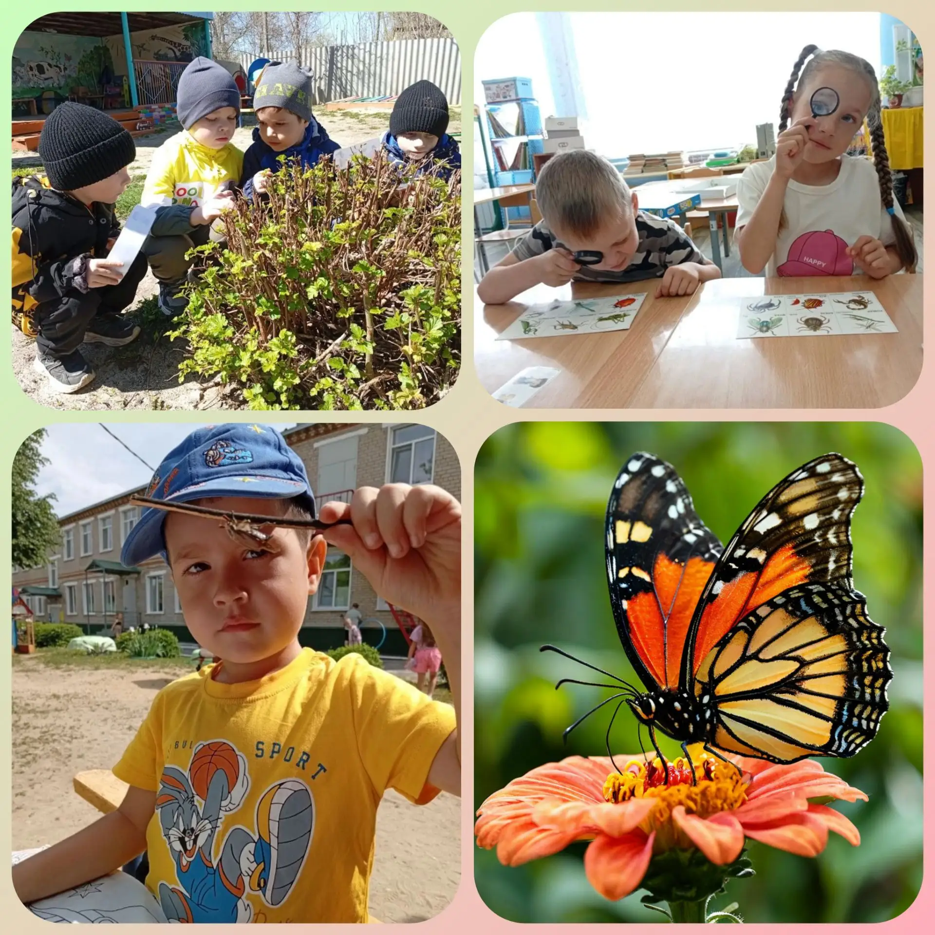 🦋🐛🐞В старшей группе МБДОУ детского сада № 1 села Русский Камешкир полным ходом продолжается реали
