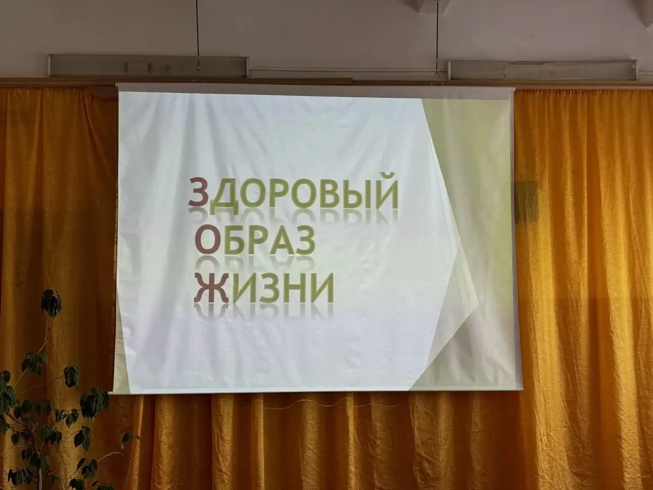 Сегодня в нашем лагере прошла очень нужная беседа для детей: «Безопасность и здоровый образ жизни». 