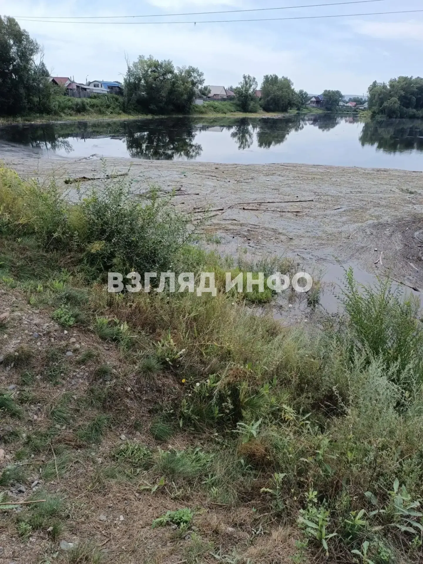 —Это уже крик души. Смотреть на это просто невозможно

Эмоциональное от читательницы Взгляд Инфо:

—