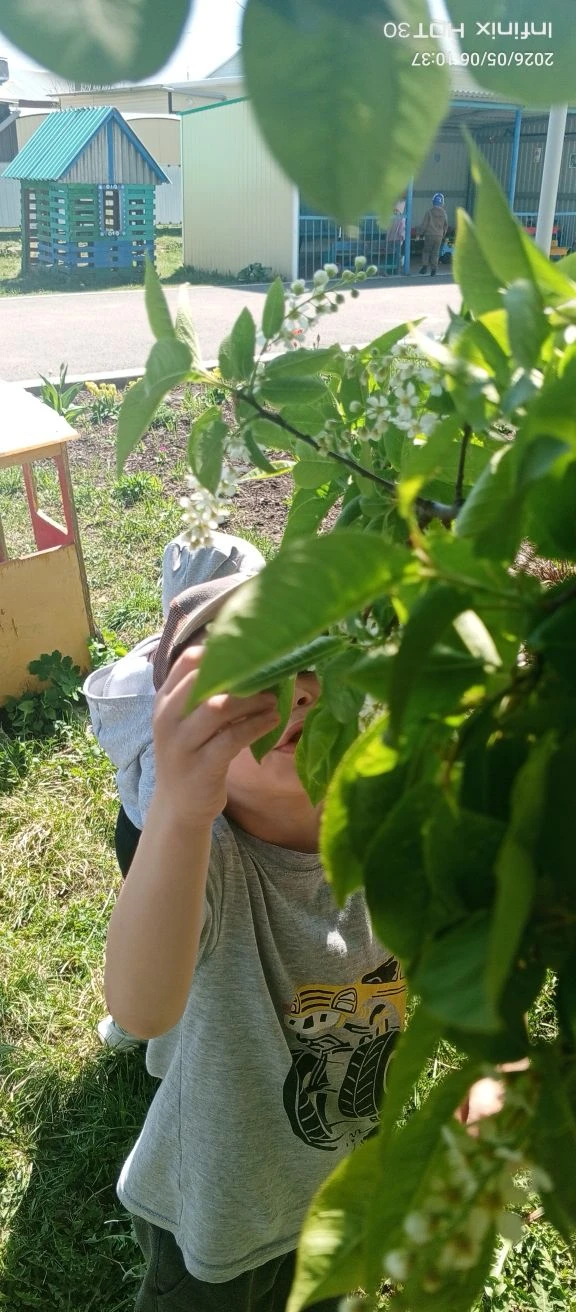Как прекрасно весеннее пробуждение природы! В это время года ни одна прогулка не обходится без откры